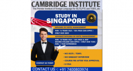 Cambridge Institute